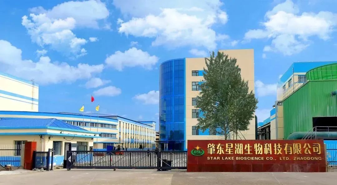 龙8唯一官网深入贯彻全省高质量发展大会精神（四）