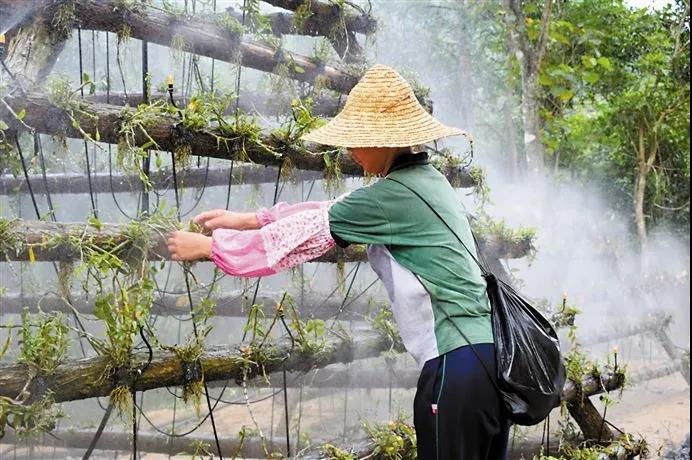 龙8唯一官网“组合拳”有力帮扶：两个穷山村齐齐变身为美丽先进村