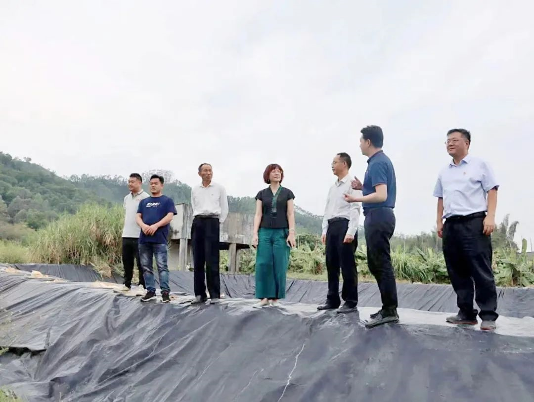 龙8唯一官网党委副书记、工会主席黄家合带队调研乡村振兴驻镇帮扶工作