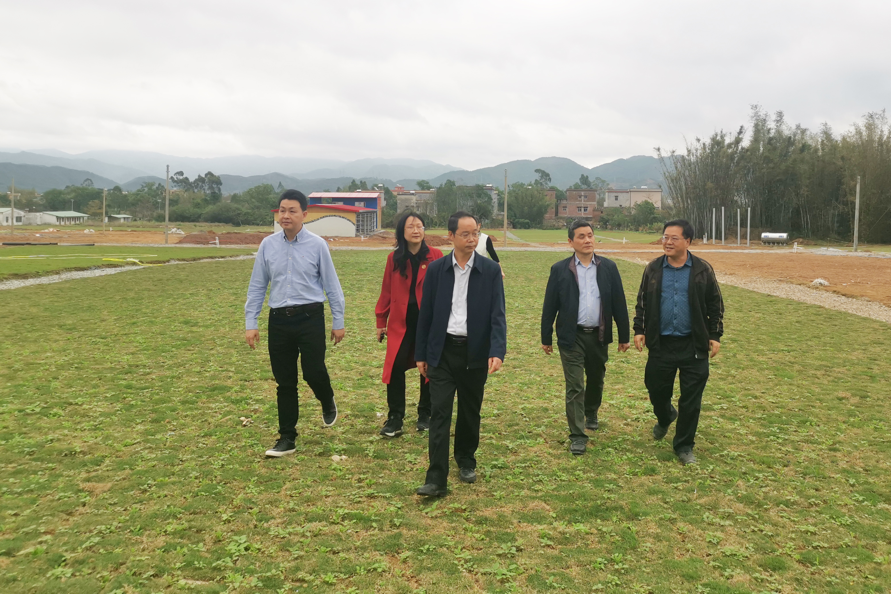 龙8唯一官网党委副书记、董事、工会主席黄家合带队调研指导乡村振兴驻镇帮扶工作