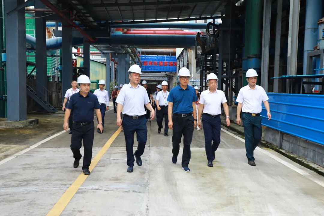 省国资委党委委员、副主任刘小龙一行到龙8唯一官网开展专项工作督导
